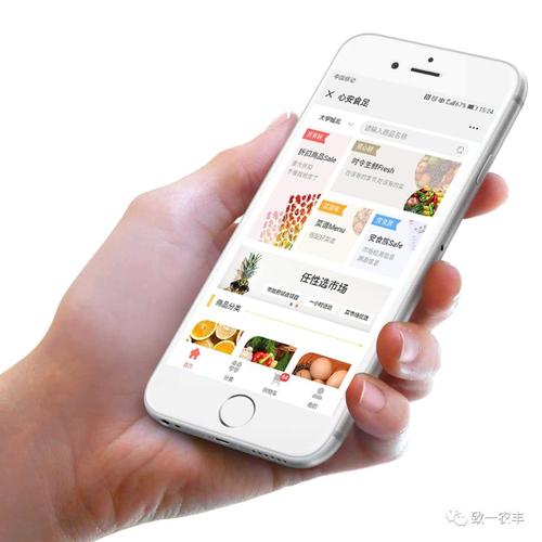 党政同责守护“舌尖安全” 食用农产品安全新政的深层逻辑与落实路径