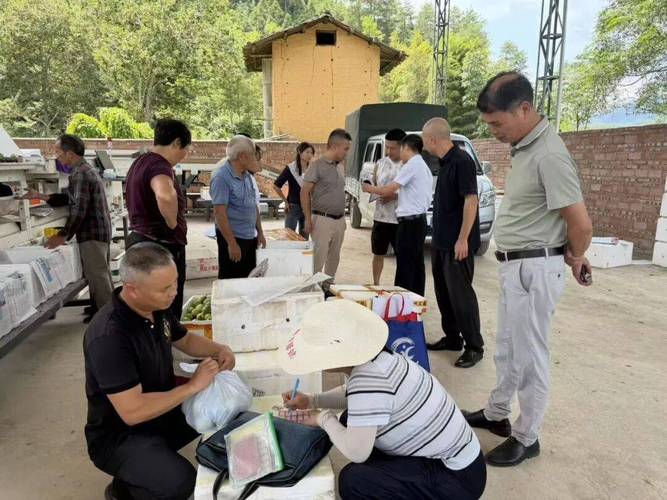 食用农产品溯源监管中的赋码问题与治理路径